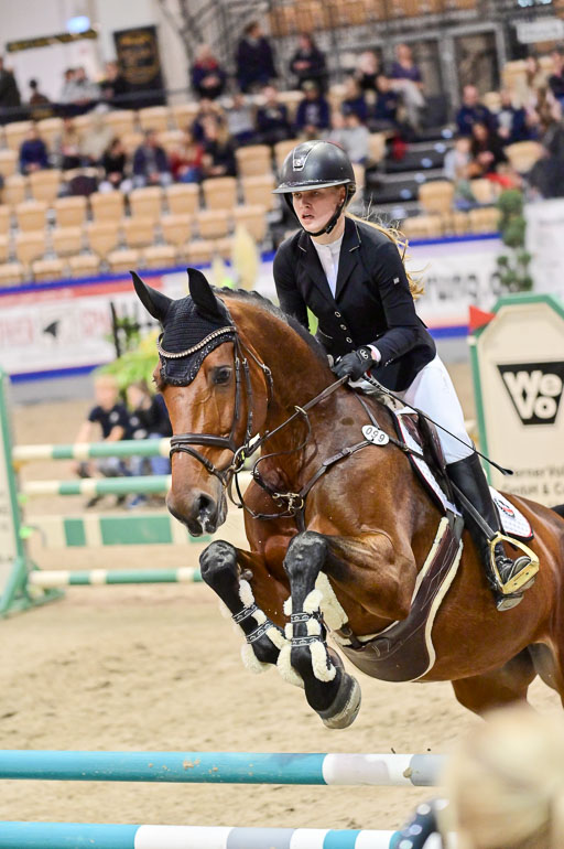  | Pfg 3 Bronze Grand Prix_498 