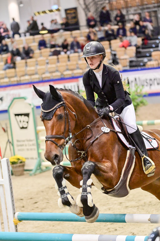  | Pfg 3 Bronze Grand Prix_499 