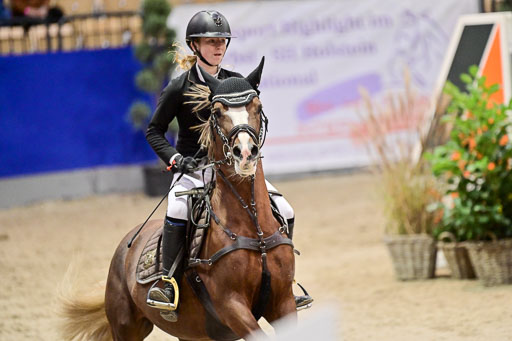  | Pfg 3 Bronze Grand Prix_509 