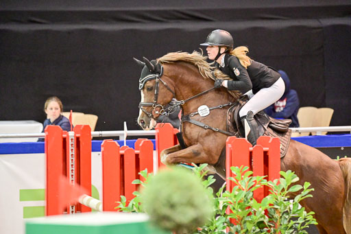  | Pfg 3 Bronze Grand Prix_519 