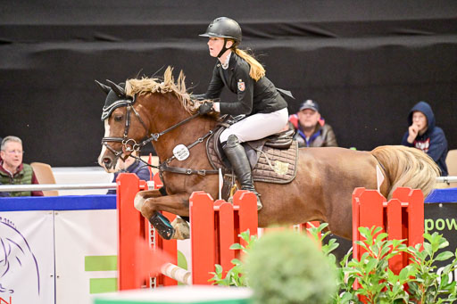  | Pfg 3 Bronze Grand Prix_521 