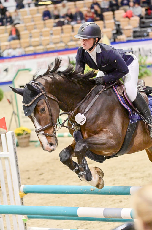  | Pfg 3 Bronze Grand Prix_528 