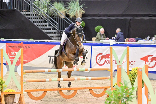  | Pfg 3 Bronze Grand Prix_529 