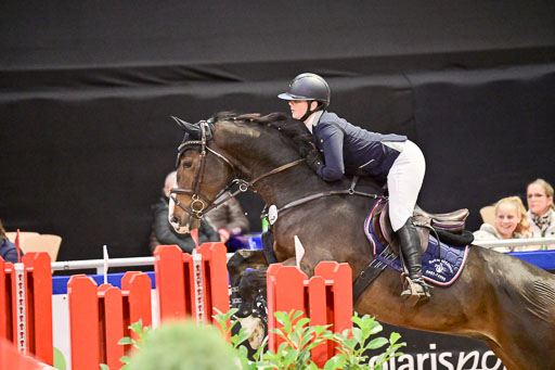  | Pfg 3 Bronze Grand Prix_533 