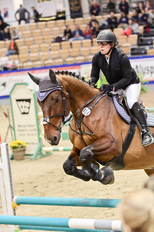  | Pfg 3 Bronze Grand Prix_542 