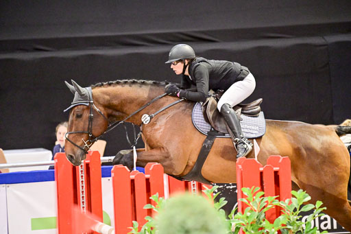  | Pfg 3 Bronze Grand Prix_550 