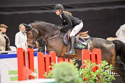  | Pfg 3 Bronze Grand Prix_569 