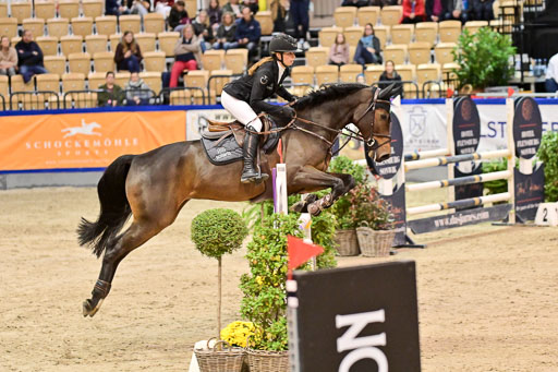  | Pfg 3 Bronze Grand Prix_571 