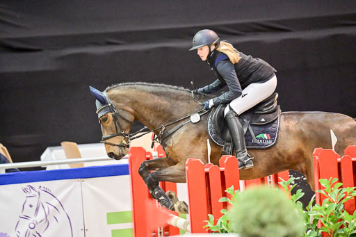  | Pfg 3 Bronze Grand Prix_584 