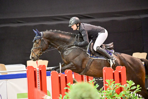  | Pfg 3 Bronze Grand Prix_589 