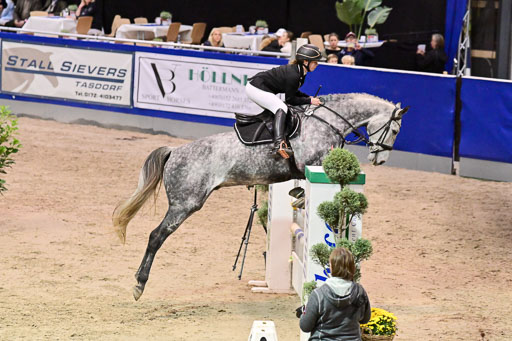  | Pfg 3 Bronze Grand Prix_597 