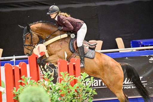  | Pfg 3 Bronze Grand Prix_628 