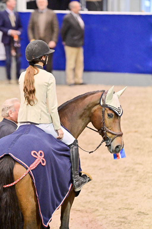  | Pfg 3 Bronze Grand Prix_663 