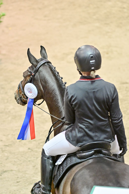  | Pfg 3 Bronze Grand Prix_664 