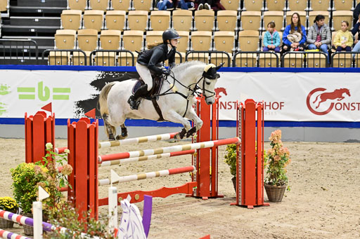  | Pfg 4 Silber  Tour _336 