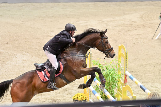  | Pfg 4 Silber  Tour _508 