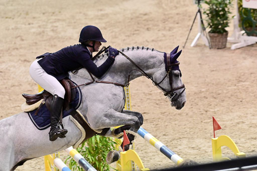  | Pfg 4 Silber  Tour _594 