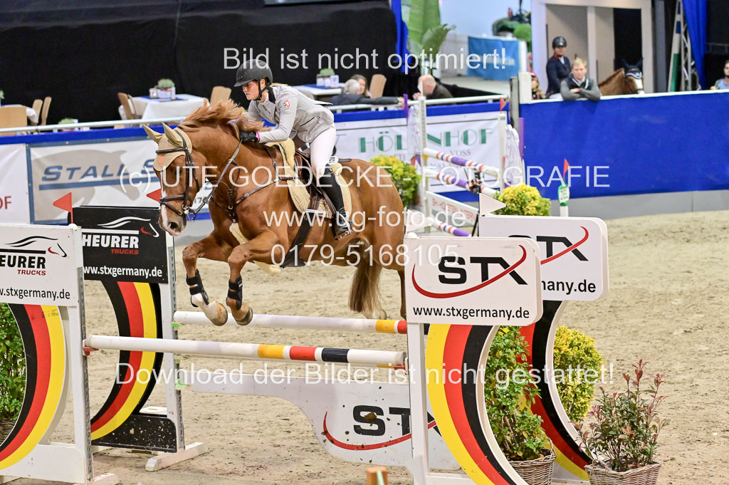 SH Holstein International 21-24.10.2021 Neumünster | Pfg 6 Last Chance Silber Tour _174