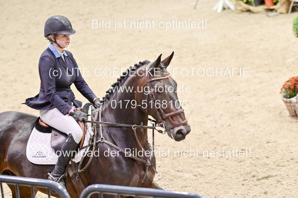 SH Holstein International 21-24.10.2021 Neumünster | Pfg 6 Last Chance Silber Tour _282