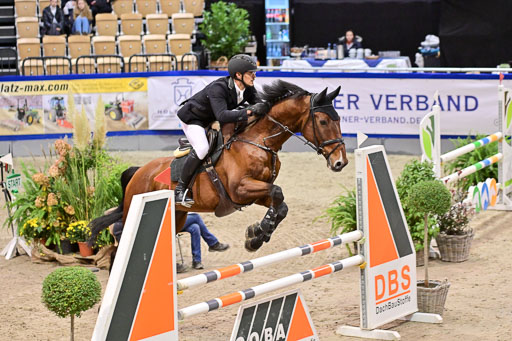 SH Holstein International  21-24.10.2021 Neumünster | Pfg 6 Last Chance  Silber  Tour _071 