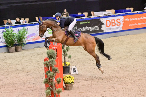 SH Holstein International  21-24.10.2021 Neumünster | Pfg 6 Last Chance  Silber  Tour _088 