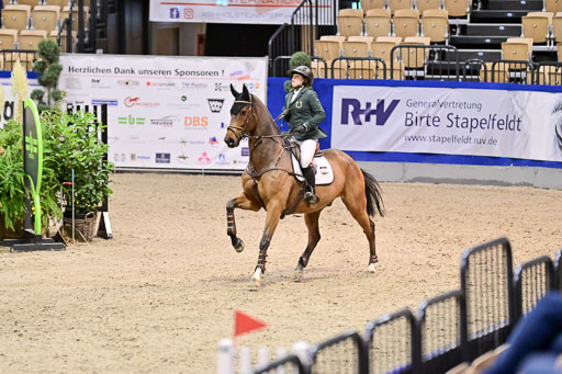 SH Holstein International  21-24.10.2021 Neumünster | Pfg 6 Last Chance  Silber  Tour _156 