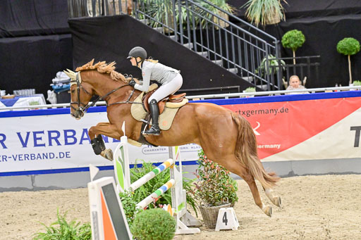 SH Holstein International  21-24.10.2021 Neumünster | Pfg 6 Last Chance  Silber  Tour _169 