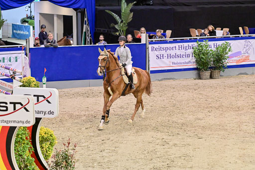 SH Holstein International  21-24.10.2021 Neumünster | Pfg 6 Last Chance  Silber  Tour _171 