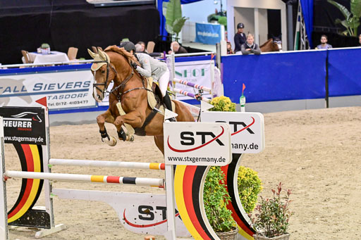 SH Holstein International  21-24.10.2021 Neumünster | Pfg 6 Last Chance  Silber  Tour _172 