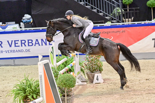 SH Holstein International  21-24.10.2021 Neumünster | Pfg 6 Last Chance  Silber  Tour _189 