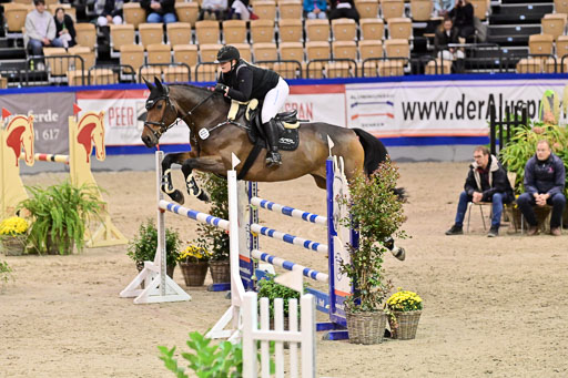 SH Holstein International  21-24.10.2021 Neumünster | Pfg 6 Last Chance  Silber  Tour _195 