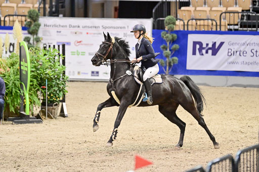 SH Holstein International  21-24.10.2021 Neumünster | Pfg 6 Last Chance  Silber  Tour _208 