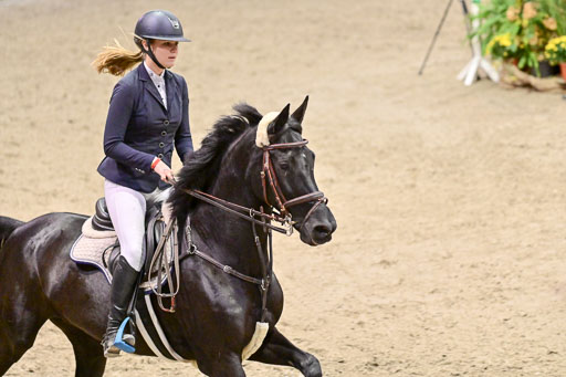 SH Holstein International  21-24.10.2021 Neumünster | Pfg 6 Last Chance  Silber  Tour _212 