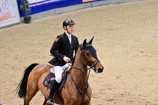 SH Holstein International  21-24.10.2021 Neumünster | Pfg 6 Last Chance  Silber  Tour _223 