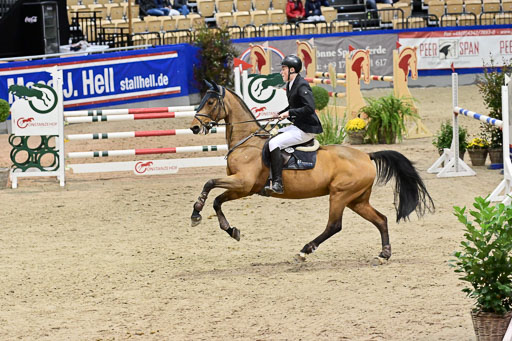 SH Holstein International  21-24.10.2021 Neumünster | Pfg 6 Last Chance  Silber  Tour _225 