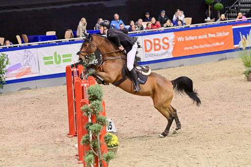 SH Holstein International  21-24.10.2021 Neumünster | Pfg 6 Last Chance  Silber  Tour _227 