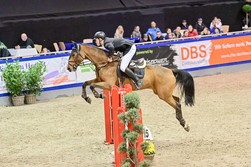 SH Holstein International  21-24.10.2021 Neumünster | Pfg 6 Last Chance  Silber  Tour _229 