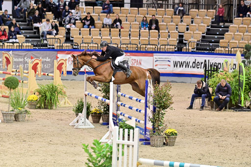 SH Holstein International  21-24.10.2021 Neumünster | Pfg 6 Last Chance  Silber  Tour _233 