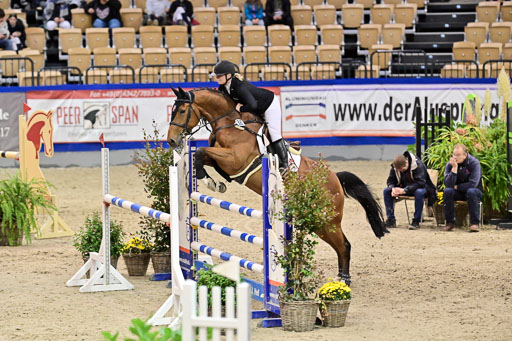 SH Holstein International  21-24.10.2021 Neumünster | Pfg 6 Last Chance  Silber  Tour _250 