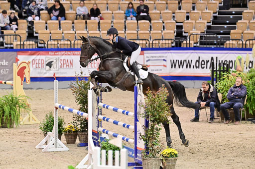 SH Holstein International  21-24.10.2021 Neumünster | Pfg 6 Last Chance  Silber  Tour _277 