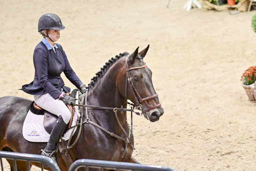 SH Holstein International  21-24.10.2021 Neumünster | Pfg 6 Last Chance  Silber  Tour _282 