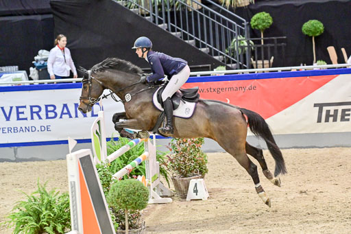 SH Holstein International  21-24.10.2021 Neumünster | Pfg 6 Last Chance  Silber  Tour _290 