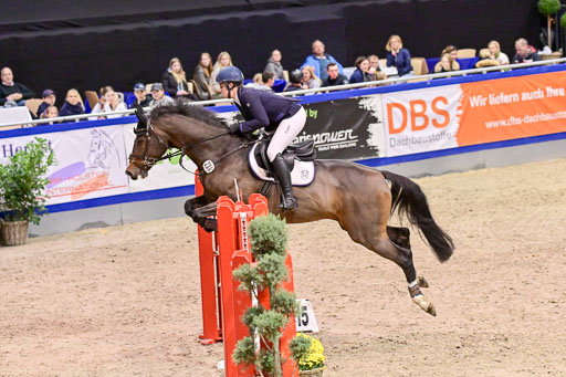 SH Holstein International  21-24.10.2021 Neumünster | Pfg 6 Last Chance  Silber  Tour _294 