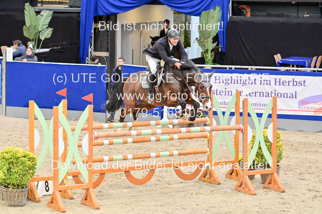 SH Holstein International 21-24.10.2021 Neumünster | Pfg 8 Gold Tour _063