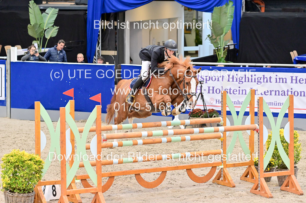 SH Holstein International 21-24.10.2021 Neumünster | Pfg 8 Gold Tour _069