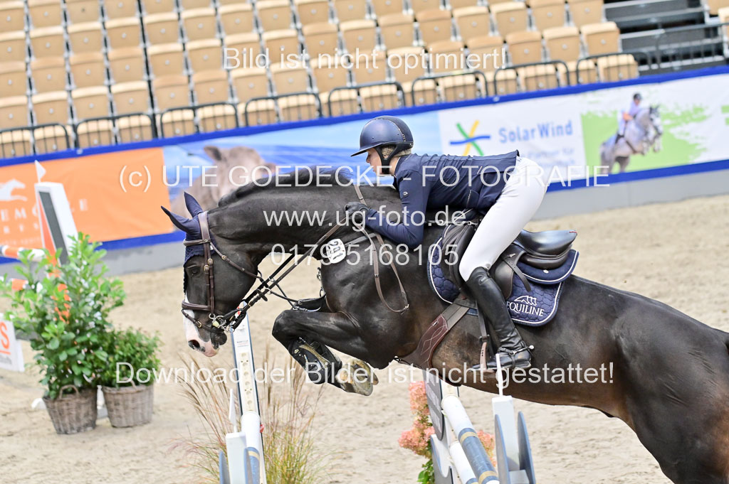 SH Holstein International 21-24.10.2021 Neumünster | Pfg 8 Gold Tour _077