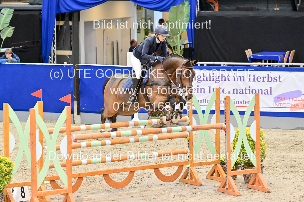 SH Holstein International 21-24.10.2021 Neumünster | Pfg 8 Gold Tour _120