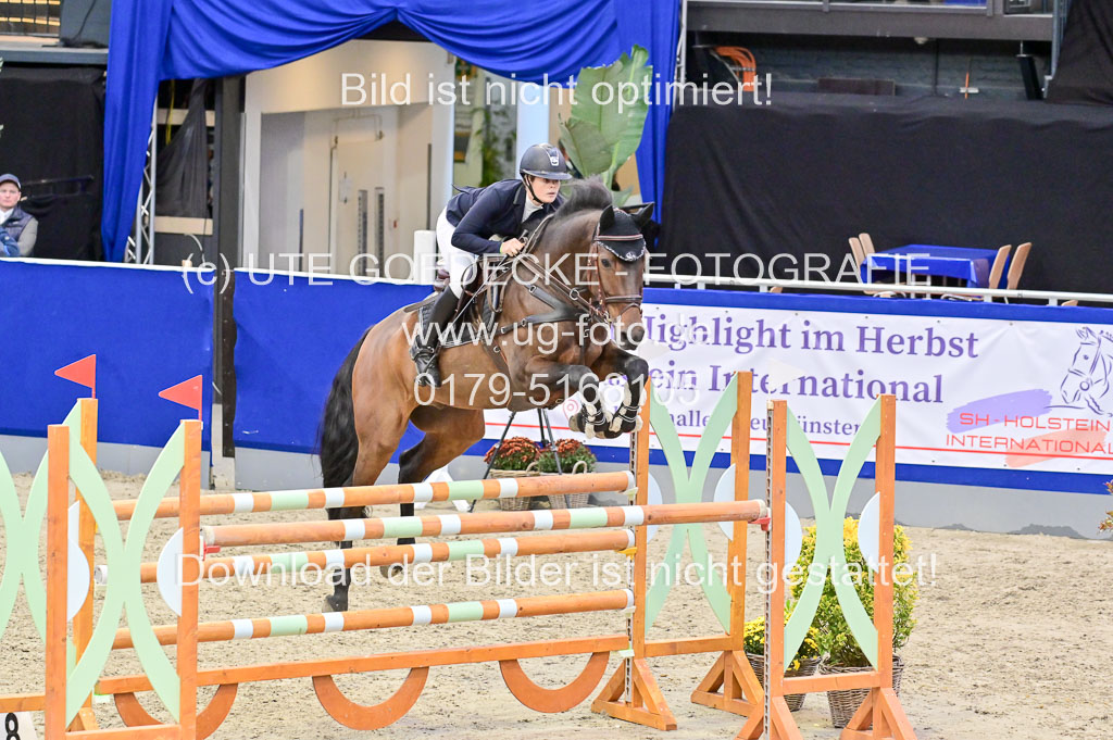 SH Holstein International 21-24.10.2021 Neumünster | Pfg 8 Gold Tour _123