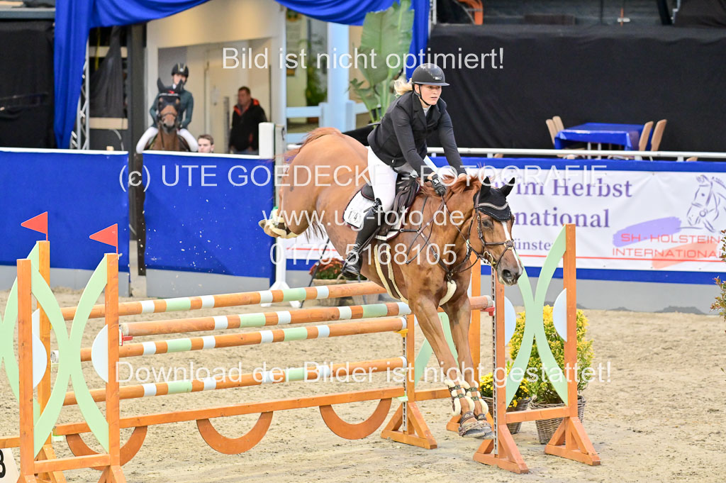 SH Holstein International 21-24.10.2021 Neumünster | Pfg 8 Gold Tour _131
