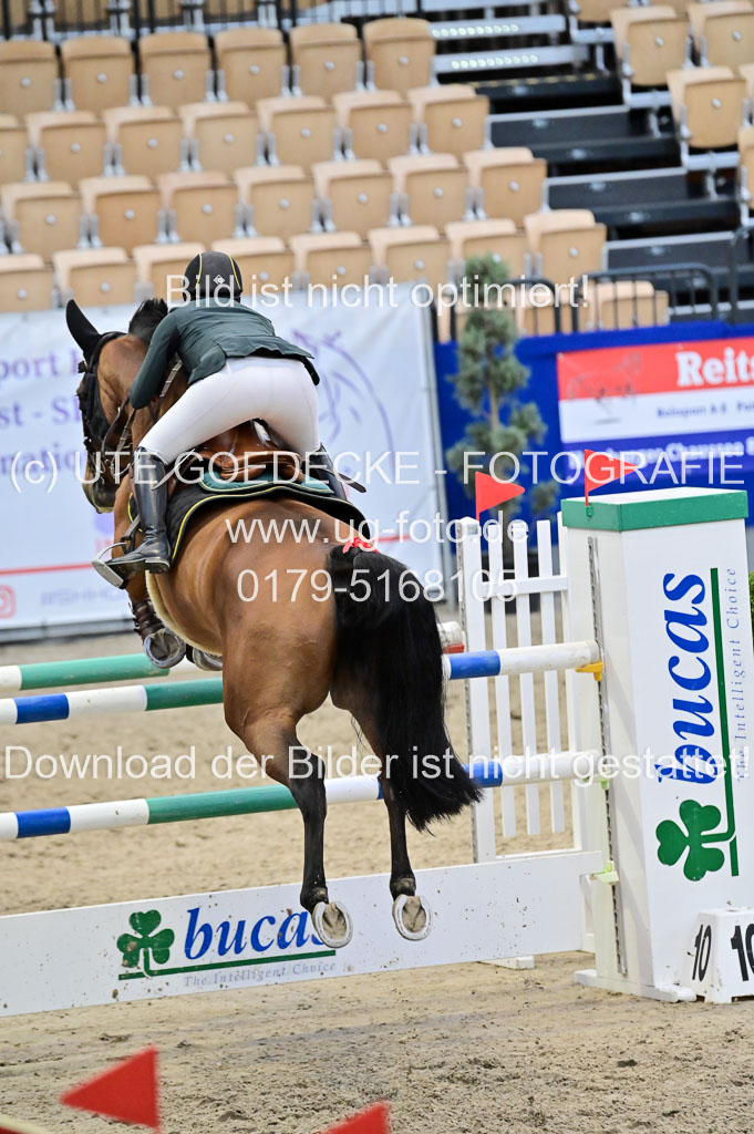 SH Holstein International 21-24.10.2021 Neumünster | Pfg 8 Gold Tour _136